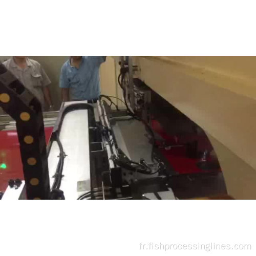 Bouchon de cosse entièrement automatique faisant la chaîne de production de machine